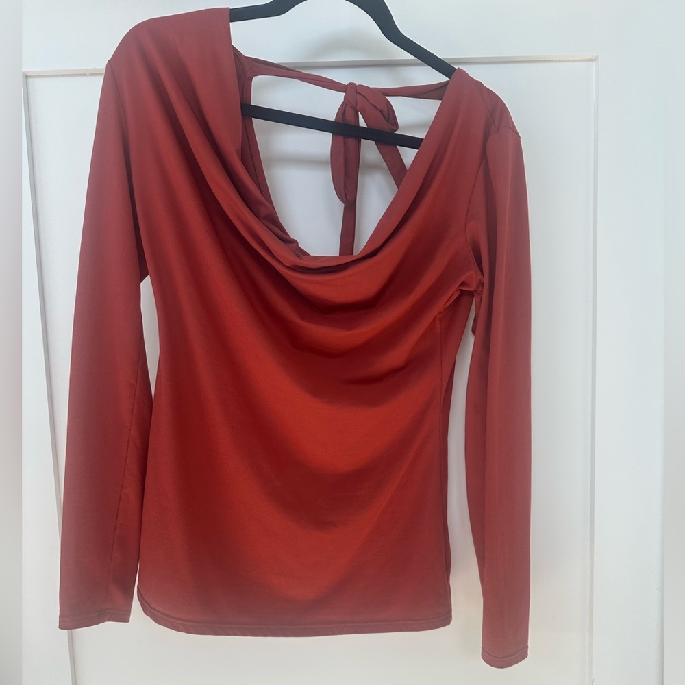 Buckle Daytrip Rust Draped Neck Long Sleeve Fitted Top